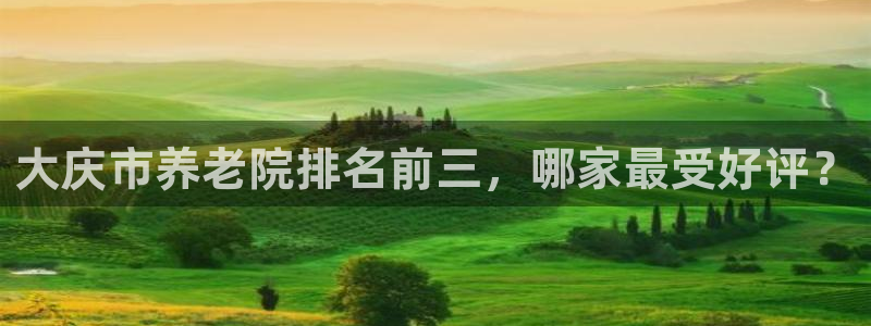 韦德游戏是什么