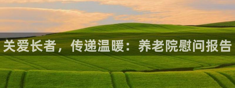 韦德属于什么