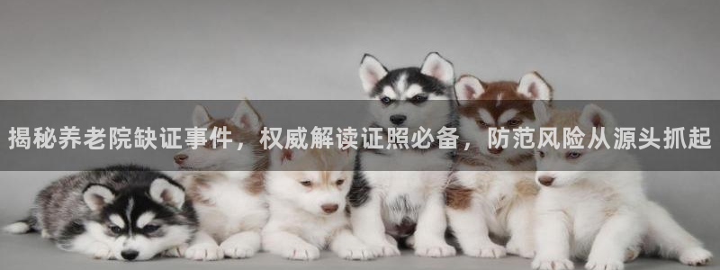 韦德8月22日开启中国行