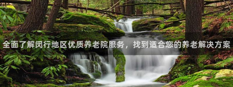 bet韦德1946