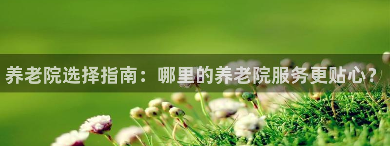 韦德属于什么
