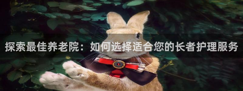 韦德是哪个