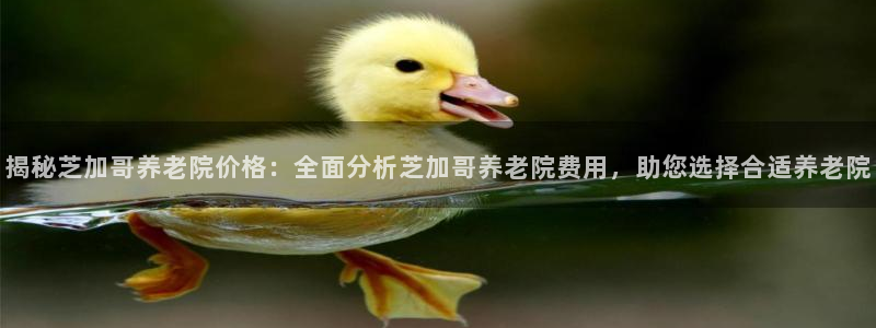 韦德1946官方