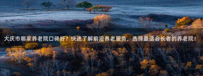 韦德的地位
