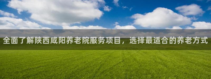 韦德网站是多少