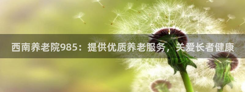 韦德游戏是什么