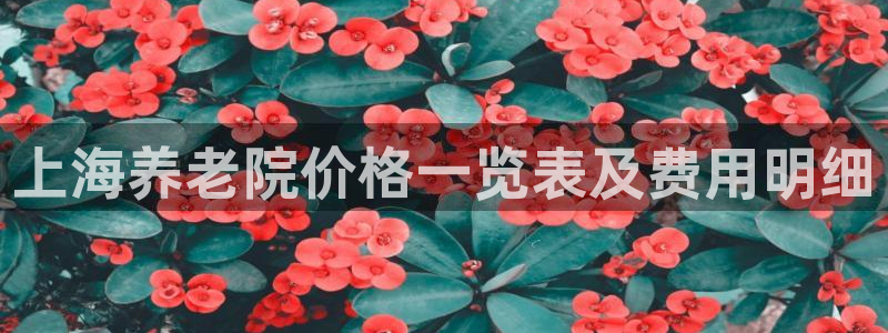 韦德1946备用网站