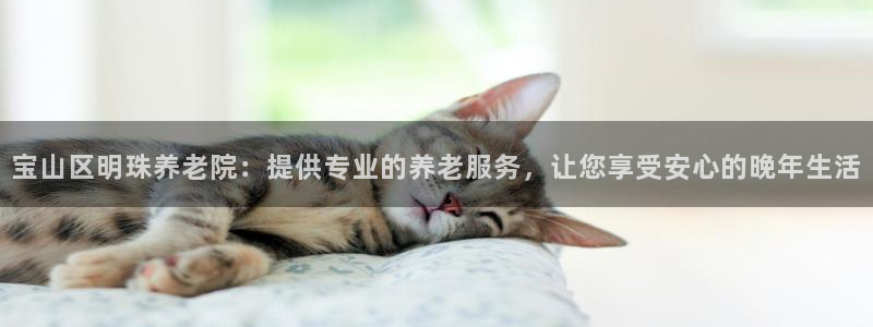 韦德1946官方