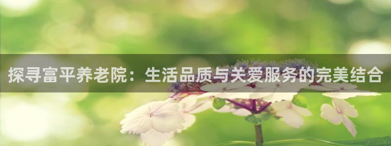 韦德8月22日开启中国行