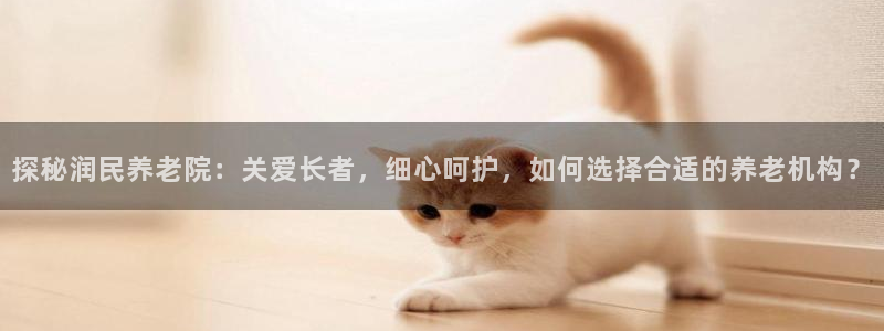 韦德属于什么