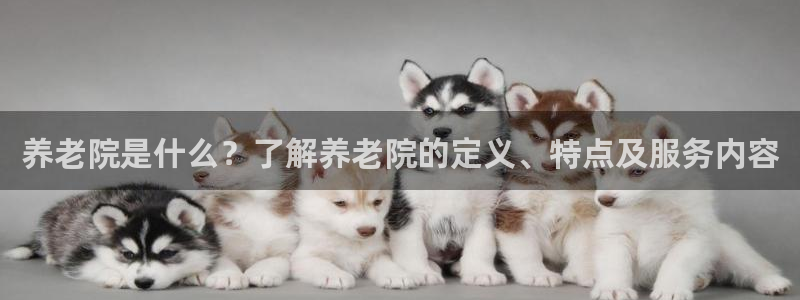 1946韦德官方网站