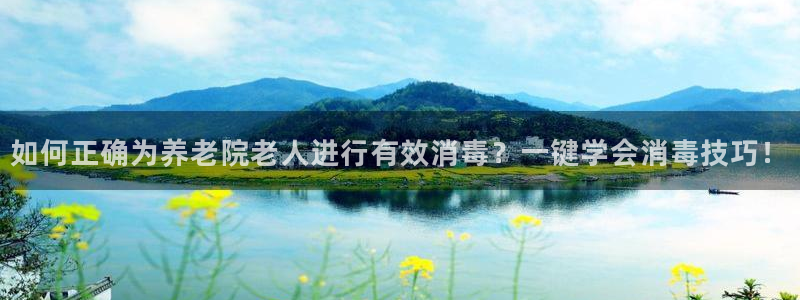 韦德网址是多少