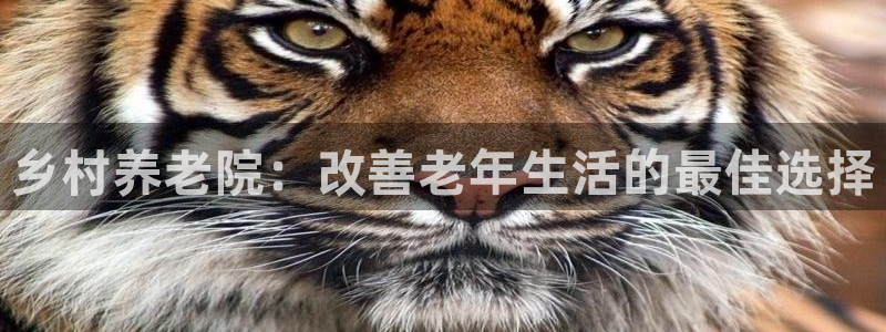 韦德是哪个