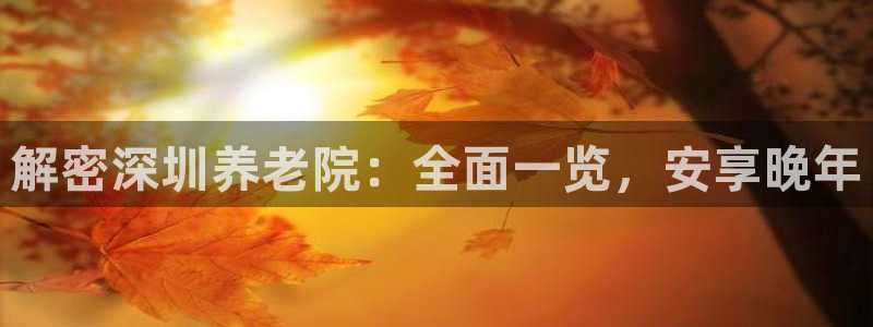 韦德 网站