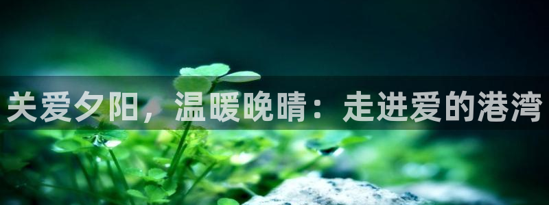 韦德1946始于英国