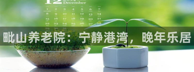 韦德合集