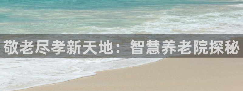韦德的游戏
