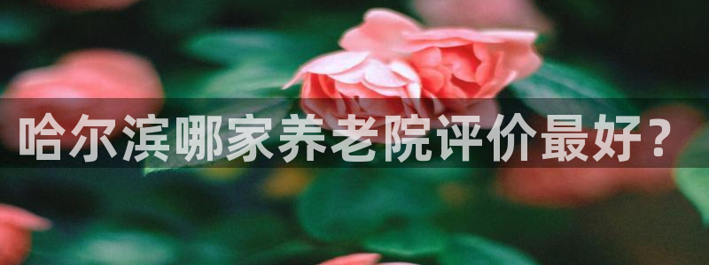 韦德1946源自英国