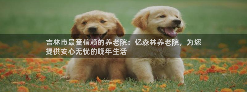 韦德app手机下载