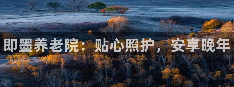 韦德1949