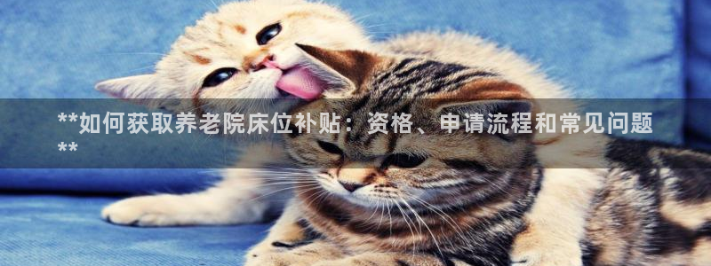 韦德1946官网最新版