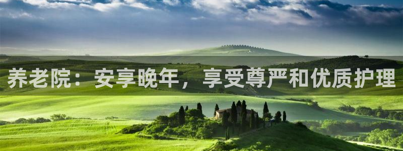 韦德游戏是什么