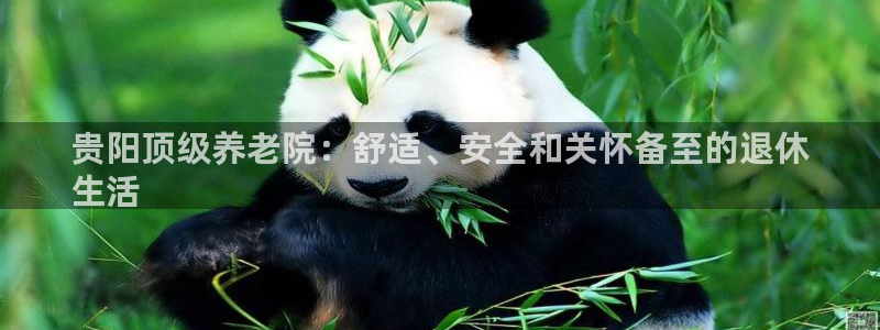 韦德官网在线