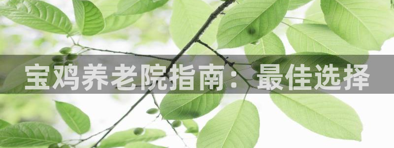 韦德1946体育