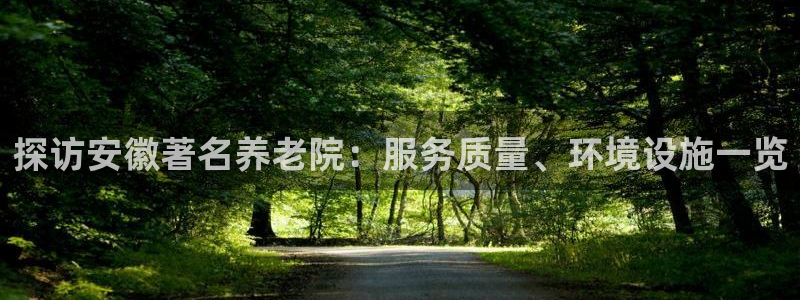 韦德1946游戏
