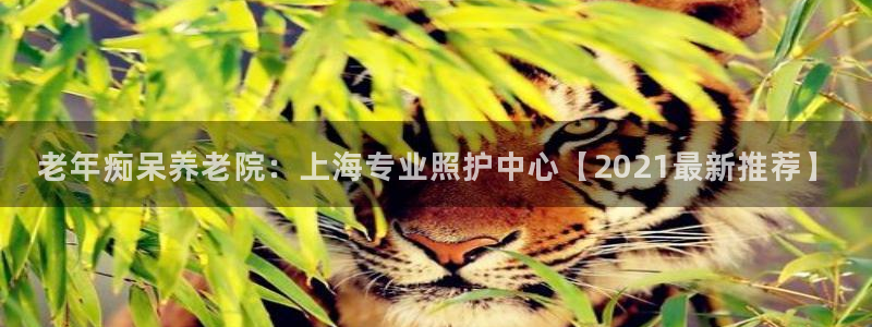韦德1946手机