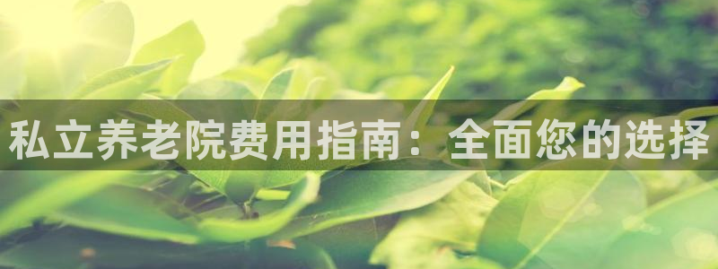 韦德 网站
