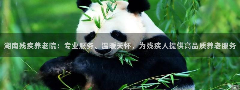 韦德事件
