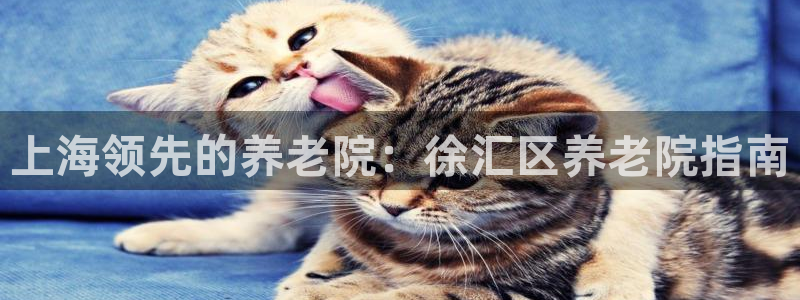 韦德1946手机版