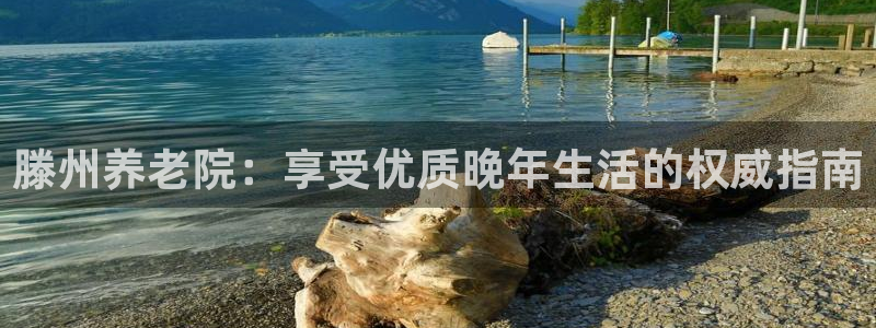 韦德的地位