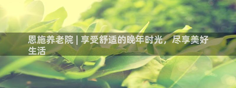 韦德官方网址大全