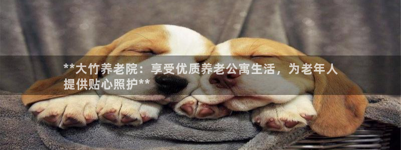 韦德官方网址大全