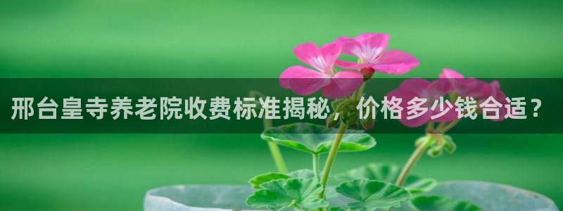 韦德1946最新网站