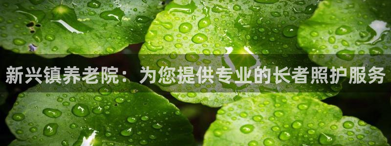 韦德8月22日开启中国行