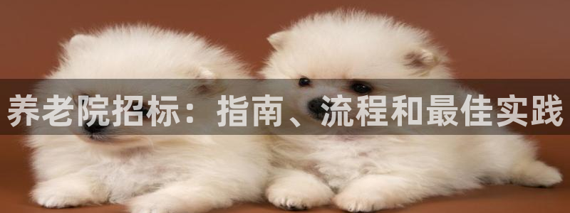 韦德2014