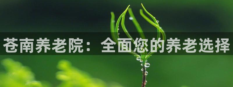 韦德bietview官网